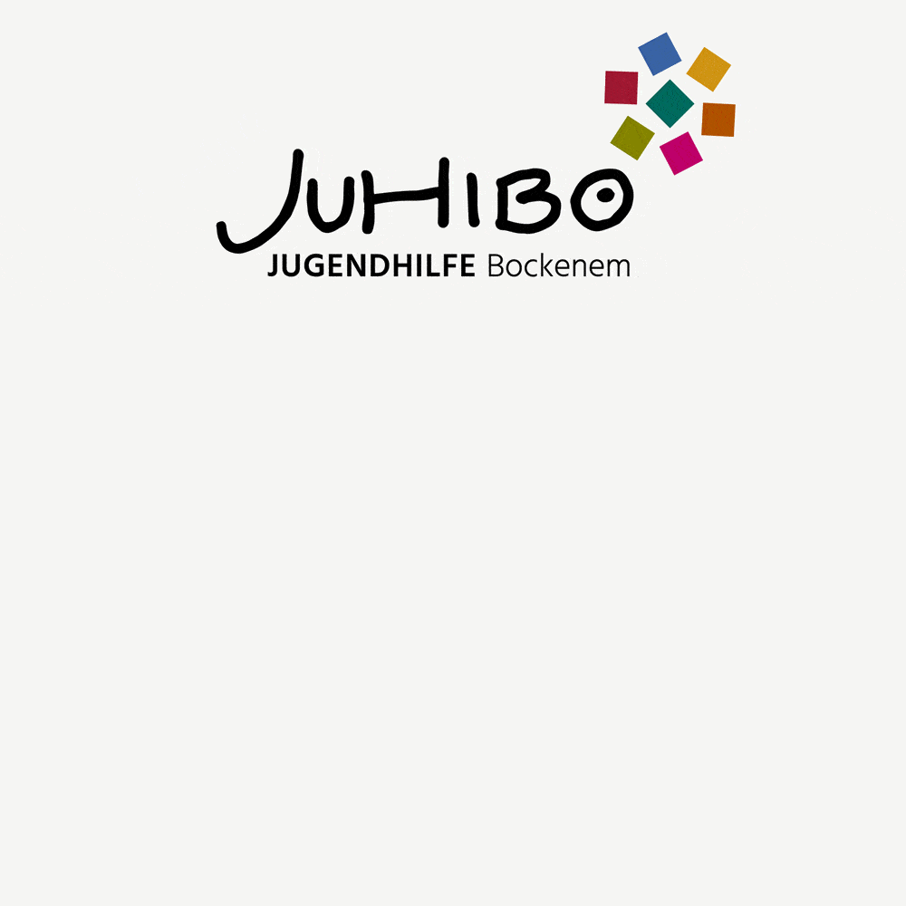 JuHiBo, Jugendhilfe Bockenem, Sieben Bereiche, Animation